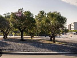 Parcela urbana edificable en Terrassa