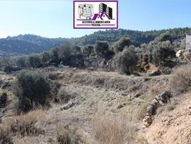 Campo en Alcañiz
