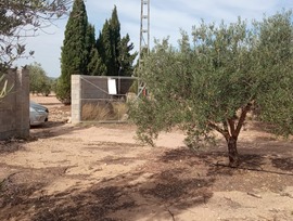 Campo en Biar
