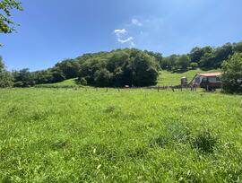 Parcela en Cangas de Onis