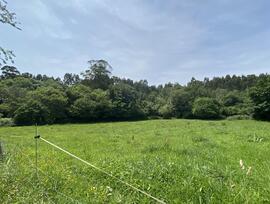 Parcela urbana en Ribadesella