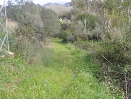 Campo en Alhaurín el Grande