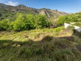 Parcela en Guejar Sierra