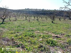 Campo en Durcal