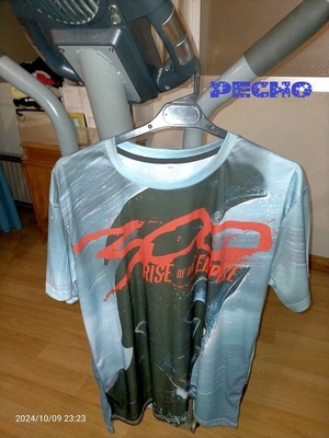 CAMISETA  300   30  € 