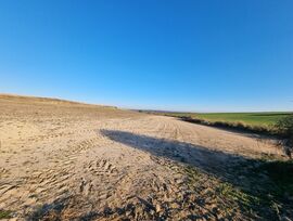 Parcela Rustica 10.000 m2