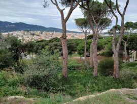 Espectaculares vistas a Sant Feliu de Guixols
