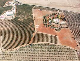 Cortijo en Carmona