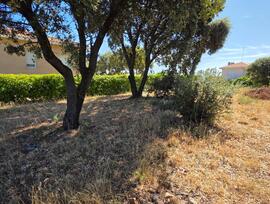 Parcela en Galapagos