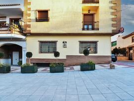 Unidad comercial en Padul