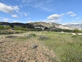 Campo en Padul