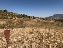 Parcela Urbanizable en La Zarza (Jumilla) 11.808 m²