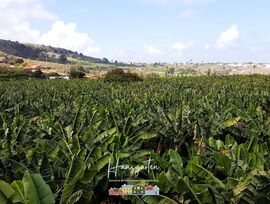 Finca  rústica con terreno, Arucas