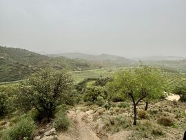 Parcela urbana edificable en Coín