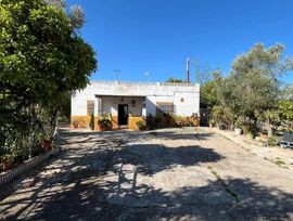 FINCA CON VIÑEDO Y VIVIENDA EN UBICACIÓN ESTRATÉGICA, AUTOVÍA JEREZ-CHIPIONA