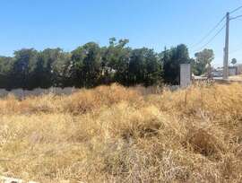 Parcela en Sanlúcar de Barrameda