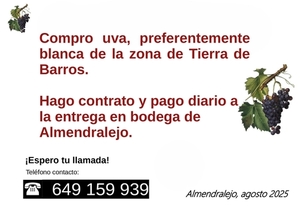 Uva con destino a transformación en vino