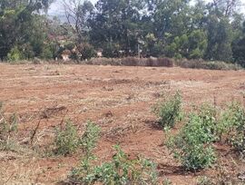 Terreno o solar en Tacoronte