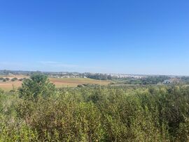 ¡Tu Oportunidad de Inversión!