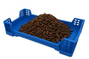 LARVA DESHIDRATADA INSECTO MOSCA SOLDADO NEGRA