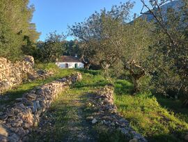 Gran parcela con casita en Denia