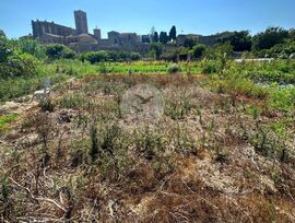 TERRENO AGRÍCOLA EN CASTELLÓ D'EMPÚRIES CON VISTAS AL CASCO HISTÓRICO