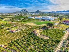 Finca ecuestre 44.044 m² en Beniarbeig
