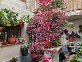 GRAN CASA SEÑORIAL EN EL CENTRO DE MONÓVAR: INFINITAS POSIBILIDADES