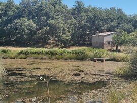 Terreno o solar en Jarandilla de la Vera